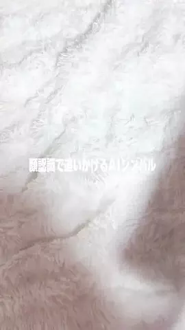 かな｜動画が垢抜ける神アイテム紹介のTikTok投稿