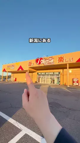 のーまる⚪️ただの20代クレーンゲーマーのTikTok投稿
