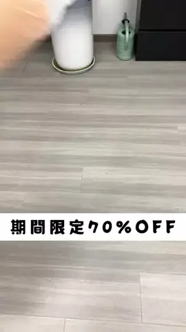 Minaの暮らしノートのTikTok投稿