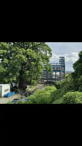 kumacoのTikTok投稿