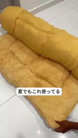 Minaの暮らしノートのTikTok投稿