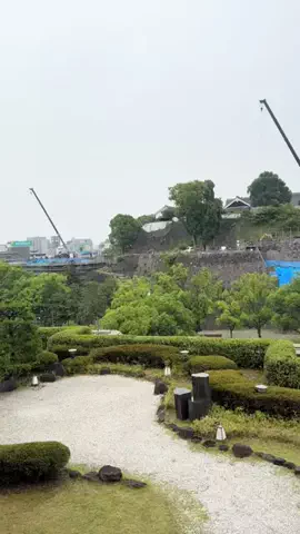 kumacoのTikTok投稿