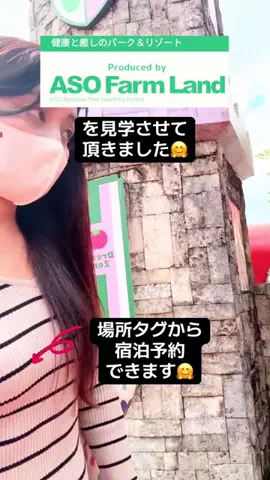 kumacoのTikTok投稿