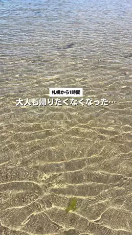 こどもとおでかけ北海道のTikTok投稿
