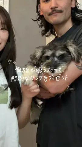 レナのTikTok投稿