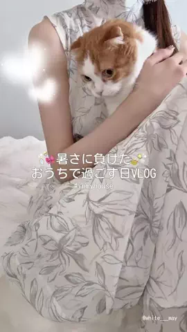 𝒎𝒂𝒚 (めい)のTikTok投稿