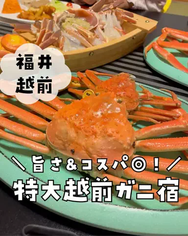 まな｜子連れ旅✈️関西発おでかけ・ホテルのTikTok投稿