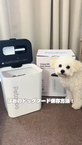 ぱおのTikTok投稿
