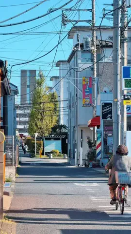 東京閑人のTikTok投稿