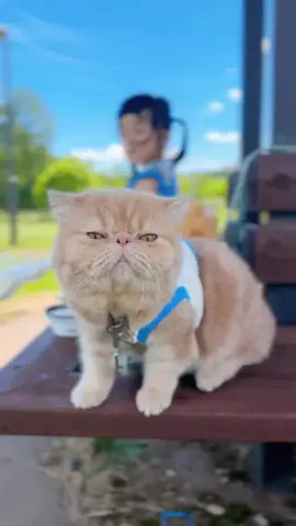 ひなまる色のTikTok投稿