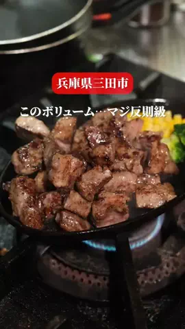 さんだびよりのTikTok投稿