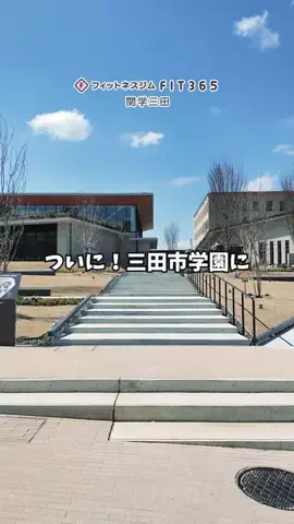 さんだびよりのTikTok投稿