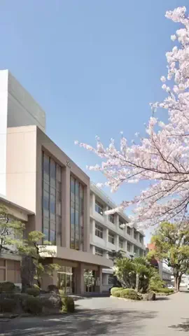 宇和島東同窓チームSのTikTok投稿