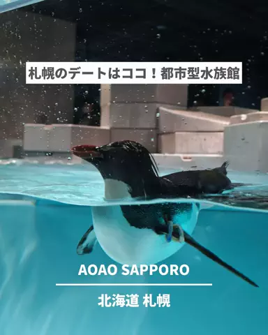 旅と北海道｜ROYのTikTok投稿