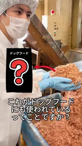 スターシードッグフード調査隊🐶のTikTok投稿
