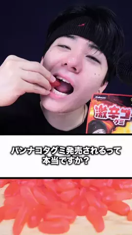 喋るコタのTikTok投稿