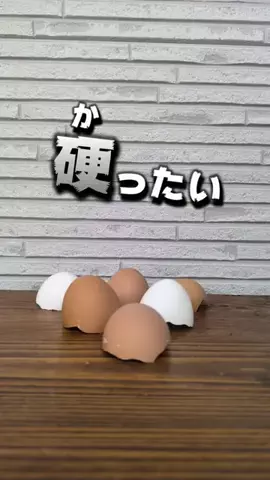 つりきっぷ/家庭で自然を楽しむ🌱のTikTok投稿