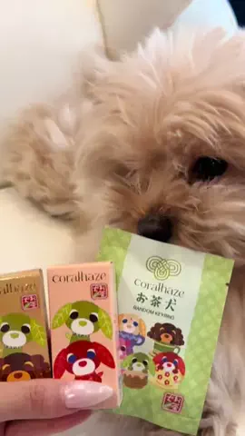 エレナ🤍🐾のTikTok投稿