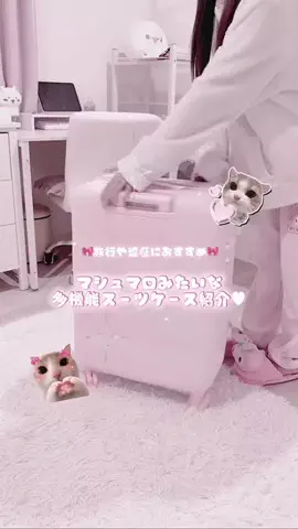 みたんのTikTok投稿