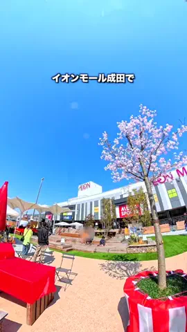 アナ｜千葉 成田発｜こどもとおでかけガイドのTikTok投稿