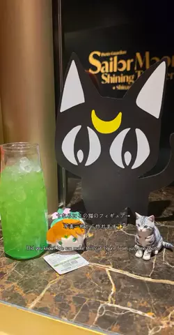 さえきあきひろまるのTikTok投稿