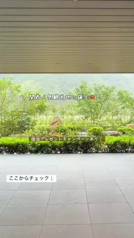 Kママ⊹関西おでかけ✈︎子どもと探検⊹のTikTok投稿