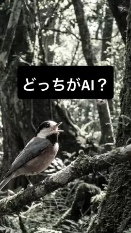 ひさじん📱iPhoneで世界を旅する男 ✈️のTikTok投稿