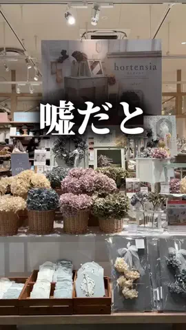 まこ | プチプラってバレない暮らしのTikTok投稿