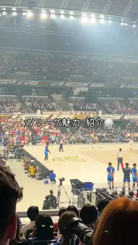ﾁのTikTok投稿