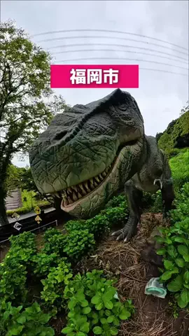 福岡お出かけ情報発信⭐️yuyuのTikTok投稿