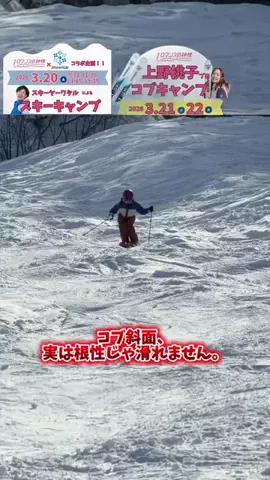 SnowHubオンラインショップのTikTok投稿