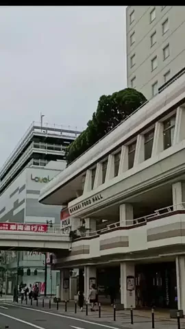 【越後】寄り道日和のTikTok投稿