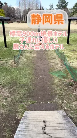 阿川麻美 Asami AgawaのTikTok投稿