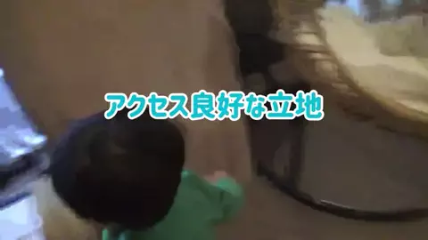 阿川麻美 Asami AgawaのTikTok投稿