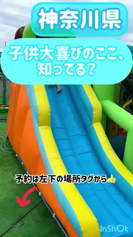 阿川麻美 Asami AgawaのTikTok投稿