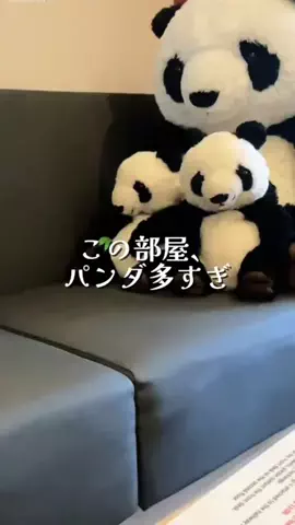 ゆっっっっき。｜疲れた大人、ここ行このTikTok投稿