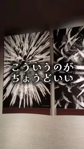 ゆっっっっき。｜疲れた大人、ここ行このTikTok投稿