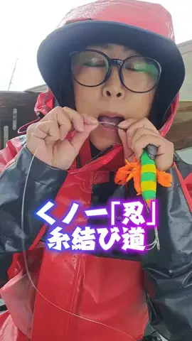 広島たにさんのぼれやびゃー動画のTikTok投稿