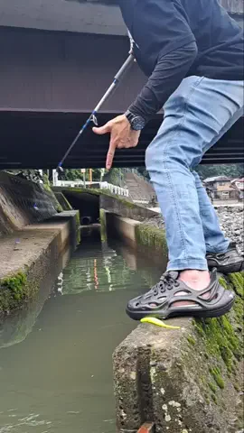 広島たにさんのぼれやびゃー動画のTikTok投稿