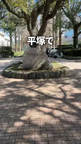 かず20秒湘南グルメ＆スポット🍖のTikTok投稿