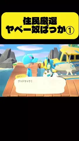 マコル🍸🌠のTikTok投稿