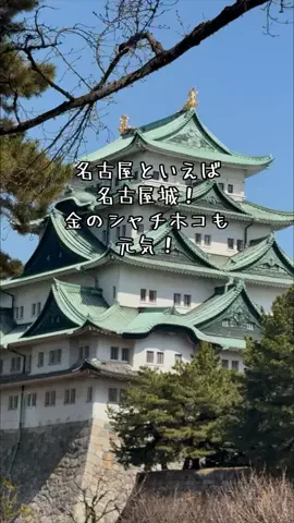 なのは｜名古屋おでかけ女子のTikTok投稿