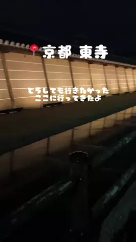 🐯さーちん☆sarchin☆🐯のTikTok投稿