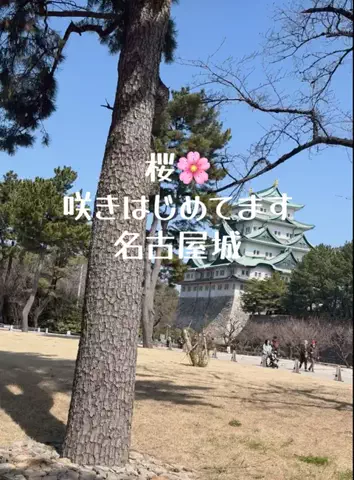 なのは｜名古屋おでかけ女子のTikTok投稿