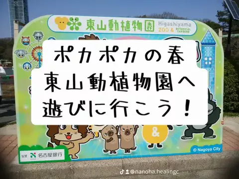 なのは｜名古屋おでかけ女子のTikTok投稿