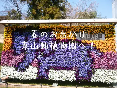 なのは｜名古屋おでかけ女子のTikTok投稿