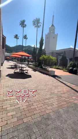 🐯さーちん☆sarchin☆🐯のTikTok投稿