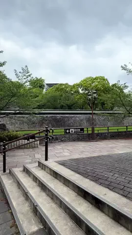 🐯さーちん☆sarchin☆🐯のTikTok投稿