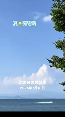 Skydaruma(ダルちゃん)のTikTok投稿