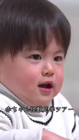 実況ベイビー🎤のTikTok投稿